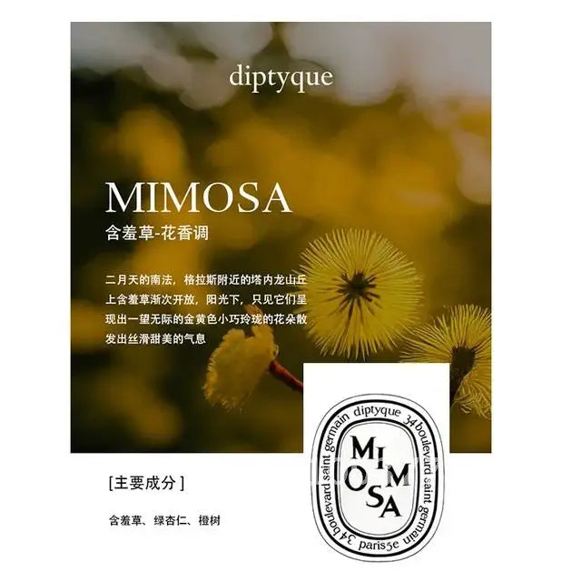 Diptyques Aromatherapy Candle Natural Plant Scented Gift Clean Vanilla Store