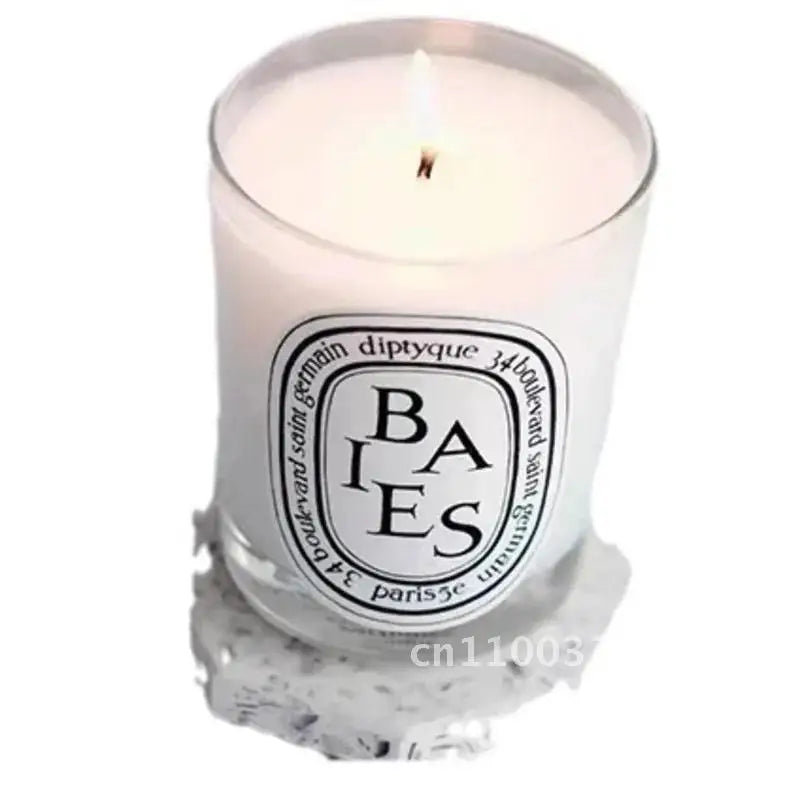 Diptyques Aromatherapy Candle Natural Plant Scented Gift Clean Vanilla Store