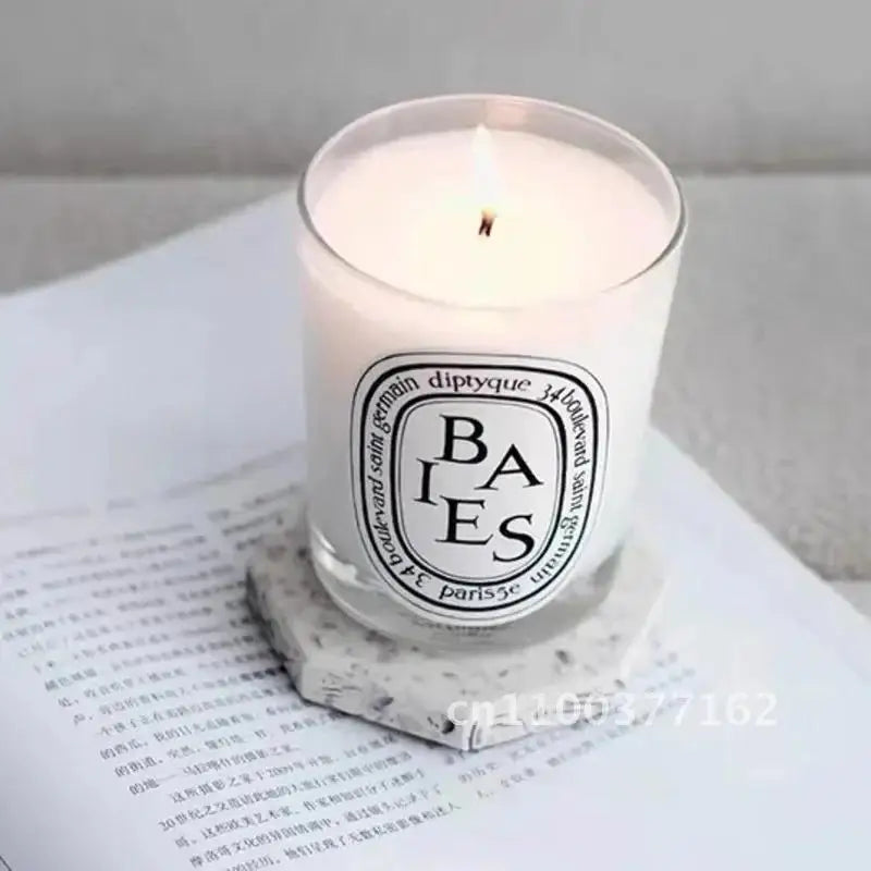 Diptyques Aromatherapy Candle Natural Plant Scented Gift Clean Vanilla Store