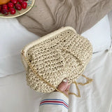 Summer Designer Straw Weaving Crossbody Bag