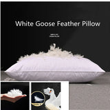 100% White Goose Feather Pillow - Hotel Quality