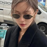 Stylish Unisex Oval Sunglasses Retro Shades for Summer Fun  Clean Vanilla Store