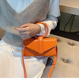 Diagonal Bag Women's Fashion Luxury Clutch Handbag