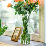 Tall Clear Acrylic Shatterproof Flower Vase