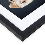 Versatile Photo Frames In Different Sizes Black Modern Design  Clean Vanilla Store