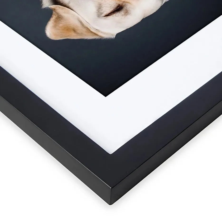 Versatile Photo Frames In Different Sizes Black Modern Design  Clean Vanilla Store
