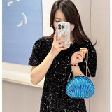2024 Women Acrylic Shell Evening Clutch Bag