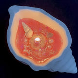 Ocean Wind Conch Aroma Candle Creative Fragrance