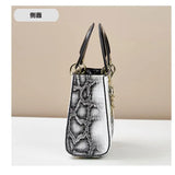 Luxury Designer Shoulder Handbag for Women 2025