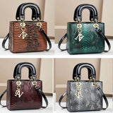 Luxury Designer Shoulder Handbag for Women 2025