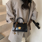 Vintage Fashion Flap Shape Handbag for Women