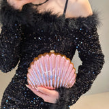 2024 Women Acrylic Shell Evening Clutch Bag