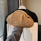 2024 Summer Straw Weaving Crossbody Bag - Shell Design