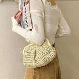 Summer Designer Straw Weaving Crossbody Bag
