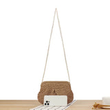 Summer Designer Straw Weaving Crossbody Bag