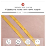 Solid Color Velvet Pillowcase for Home Decor 2-Pack