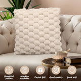 Super Soft Cozy Faux Fur Throw Pillow Covers 2pcs