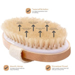 Exfoliating Wooden Body Massage Shower Brush for Radiant Skin  Clean Vanilla Store