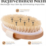 Exfoliating Wooden Body Massage Shower Brush for Radiant Skin  Clean Vanilla Store