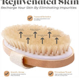 Exfoliating Wooden Body Massage Shower Brush for Radiant Skin  Clean Vanilla Store