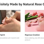 Natural Pink Rose Roller Gua Sha Set for Face Lifting  Clean Vanilla Store
