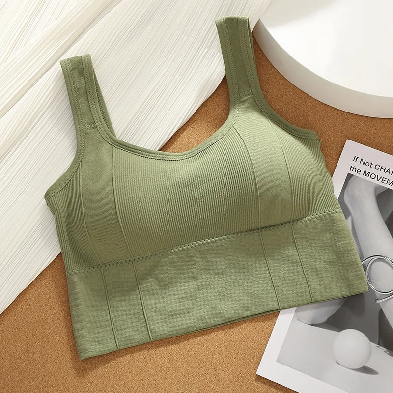 Seamless Shockproof Yoga Bra for Women 4Pcs  Clean Vanilla Store