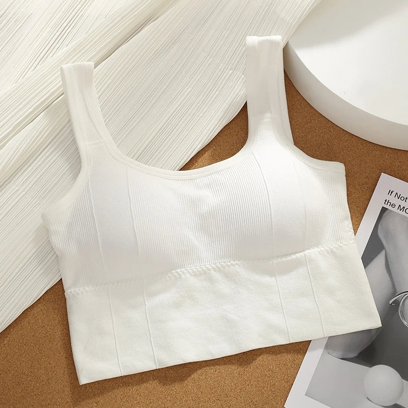 Seamless Shockproof Yoga Bra for Women 4Pcs  Clean Vanilla Store