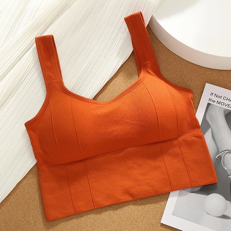 Seamless Shockproof Yoga Bra for Women 4Pcs  Clean Vanilla Store