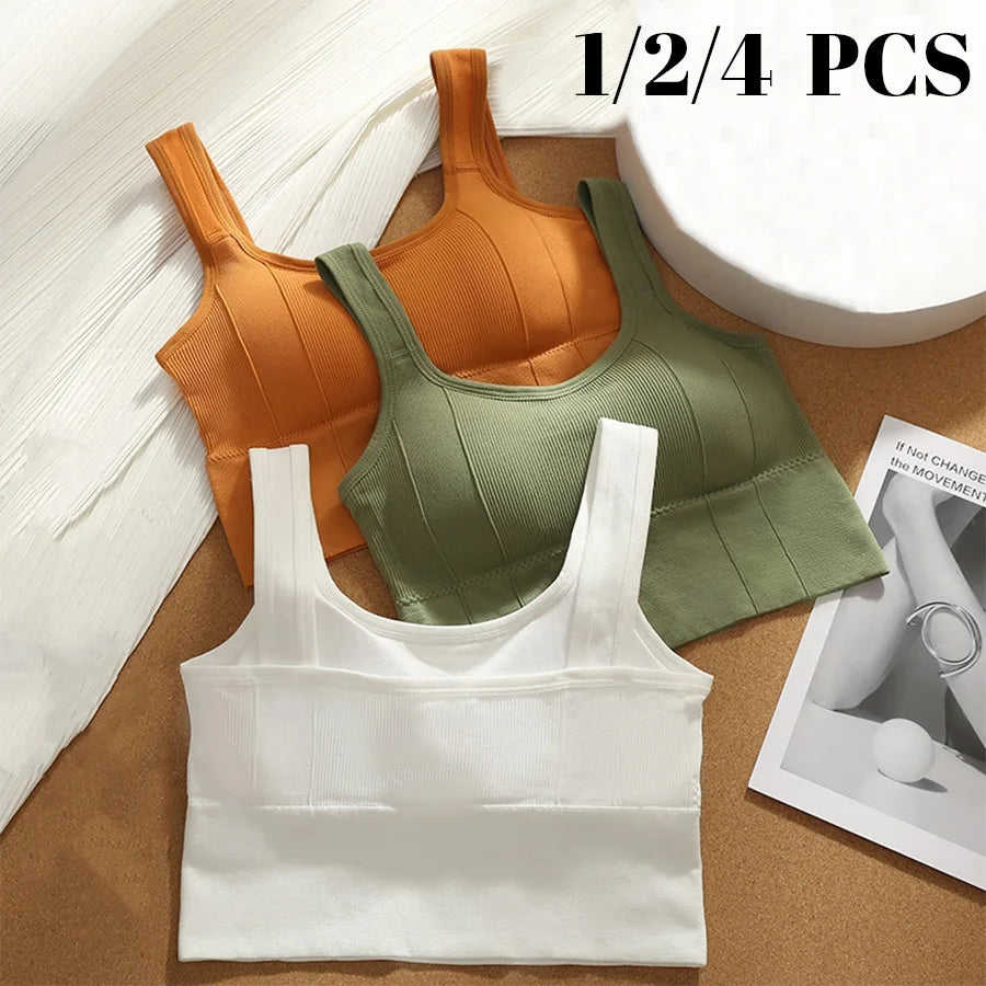 Seamless Shockproof Yoga Bra for Women 4Pcs  Clean Vanilla Store